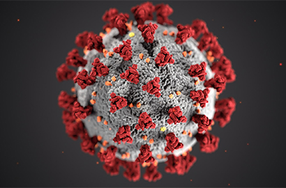 Informativa sul trattamento dei dati personali per la verifica dell’obbligo vaccinale anti Covid-19 del personale docente e ATA (Art. 14 del Regolamento UE 679/2016)